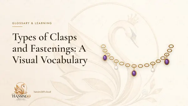 Illustrated HANSINI369 cover for “Types of Clasps and Fastenings: A Visual Vocabulary”
